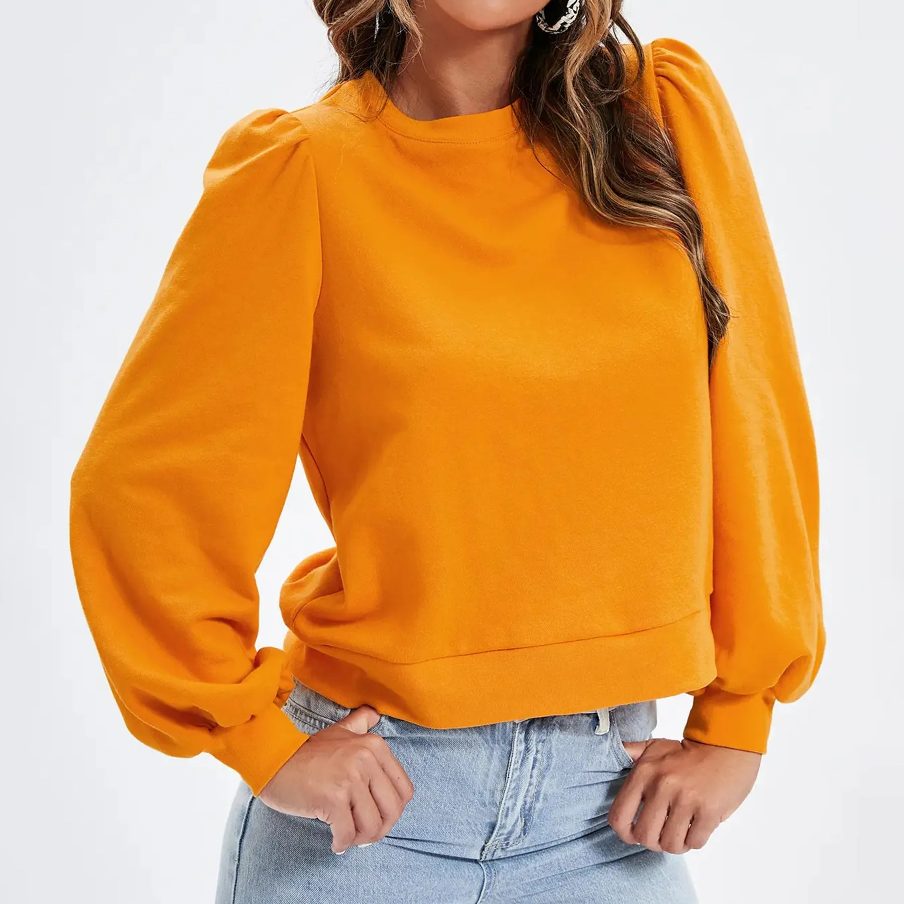 Casual Plain Plicated Bishop Sleeve Sweatshirt