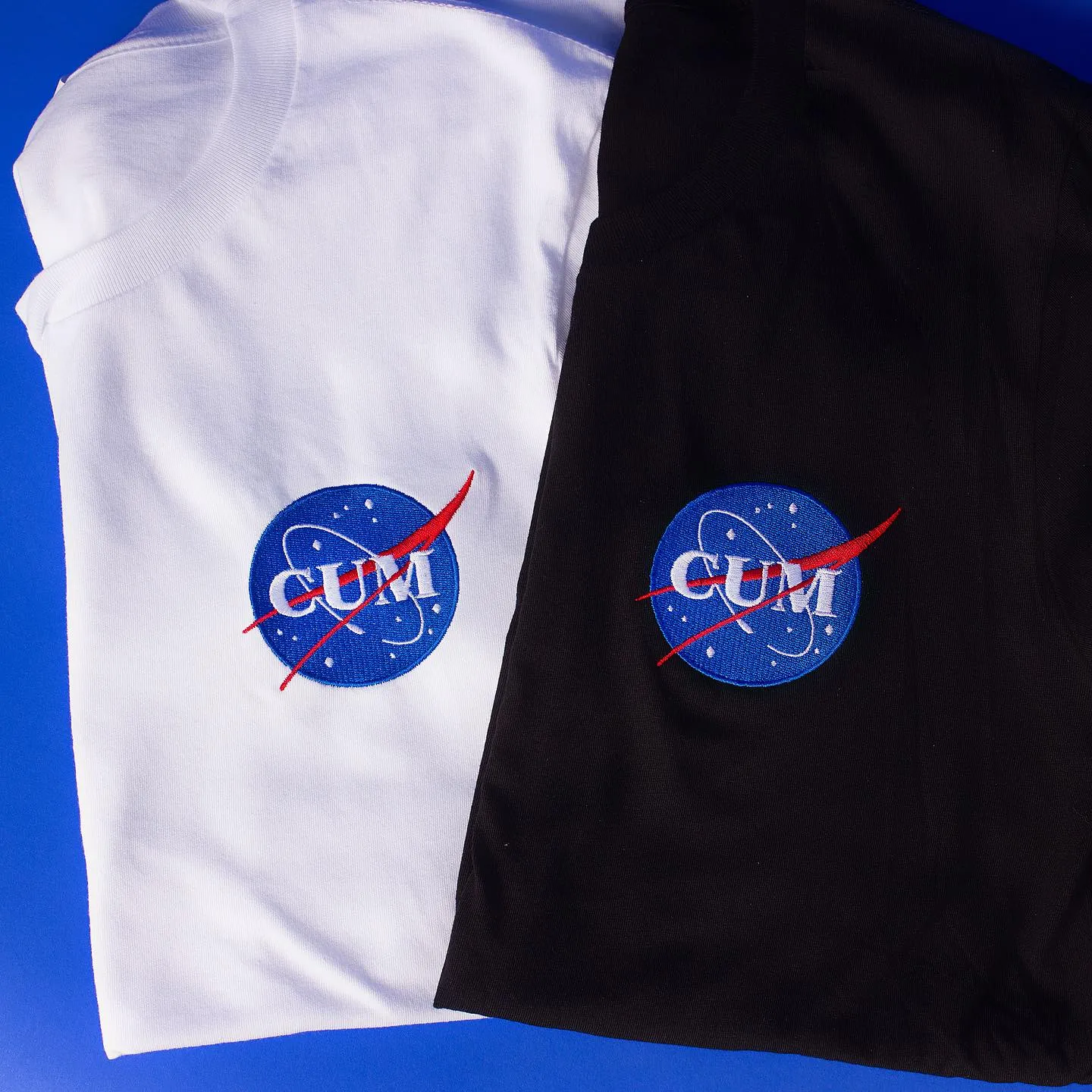 Nasa Cum Embroidered Crop Top