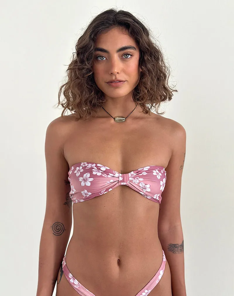 Samara Bikini Top in Hibiscus Floral